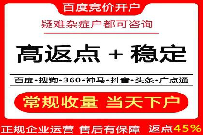 某品牌SEM代运营的成长历程与启示